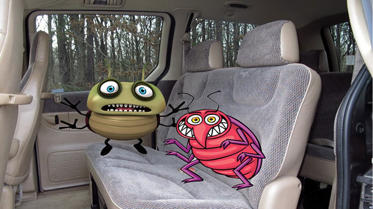 കാറില് പാറ്റയെ കണ്ട് ഡ്രൈവര് ഭയന്നു; പിന്നെ സംഭവിച്ചത് കാറില് പാറ്റയെ കണ്ട് ഡ്രൈവര് ഭയന്നു; പിന്നെ സംഭവിച്ചത്