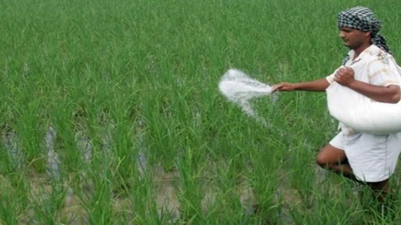ರಸಗೊಬ್ಬರ ಭಾರಿ ದುಬಾರಿ : ರೈತರಿಗೆ ದೊಡ್ಡ ಶಾಕ್‌