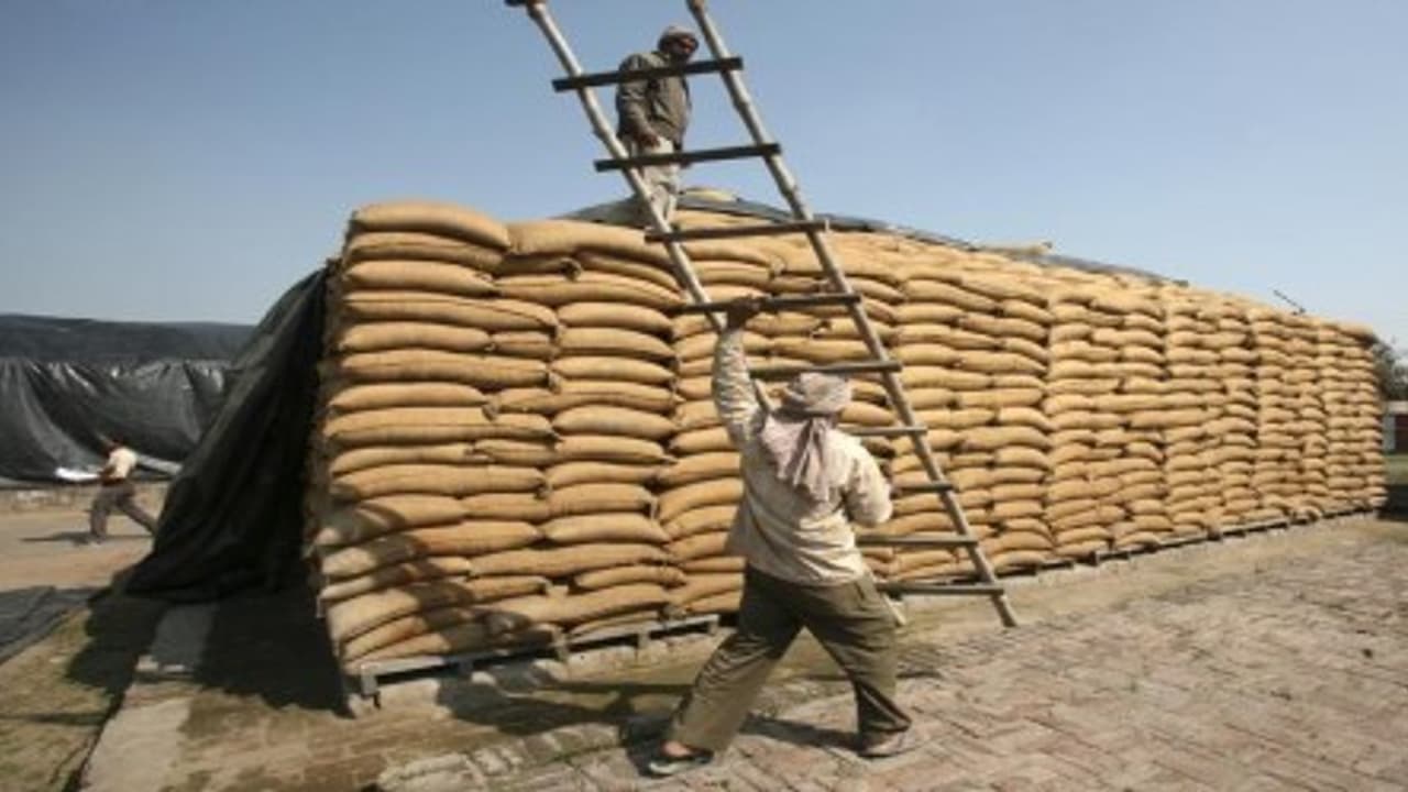 அறுவடைக்குப் பிறகு நெல்லை பாதுகாப்பாக சேமிப்பது எப்படி? அறுவடைக்குப் பிறகு நெல்லை பாதுகாப்பாக சேமிப்பது எப்படி?