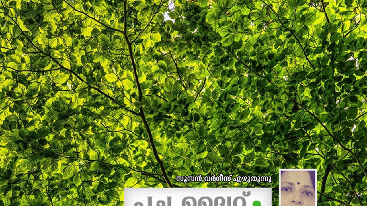 പച്ചലൈറ്റിനെ എനിക്കിപ്പോള് ഭയമില്ല! പച്ചലൈറ്റിനെ എനിക്കിപ്പോള് ഭയമില്ല!