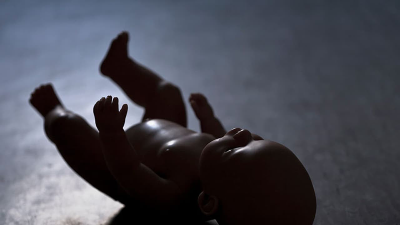 അല്ലെങ്കിലും ഇരയേക്കാള് നമുക്കിഷ്ടം വേട്ടക്കാരോട് തന്നെയാണ്! അല്ലെങ്കിലും ഇരയേക്കാള് നമുക്കിഷ്ടം വേട്ടക്കാരോട് തന്നെയാണ്!