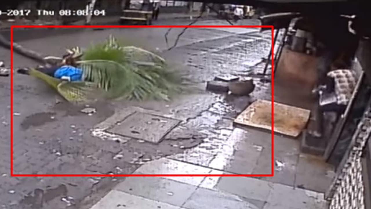 തെങ്ങ് തലയില് വീണ് മുന് ദൂരദര്ശന് ജീവനക്കാരിക്ക് ദാരുണാന്ത്യം തെങ്ങ് തലയില് വീണ് മുന് ദൂരദര്ശന് ജീവനക്കാരിക്ക് ദാരുണാന്ത്യം