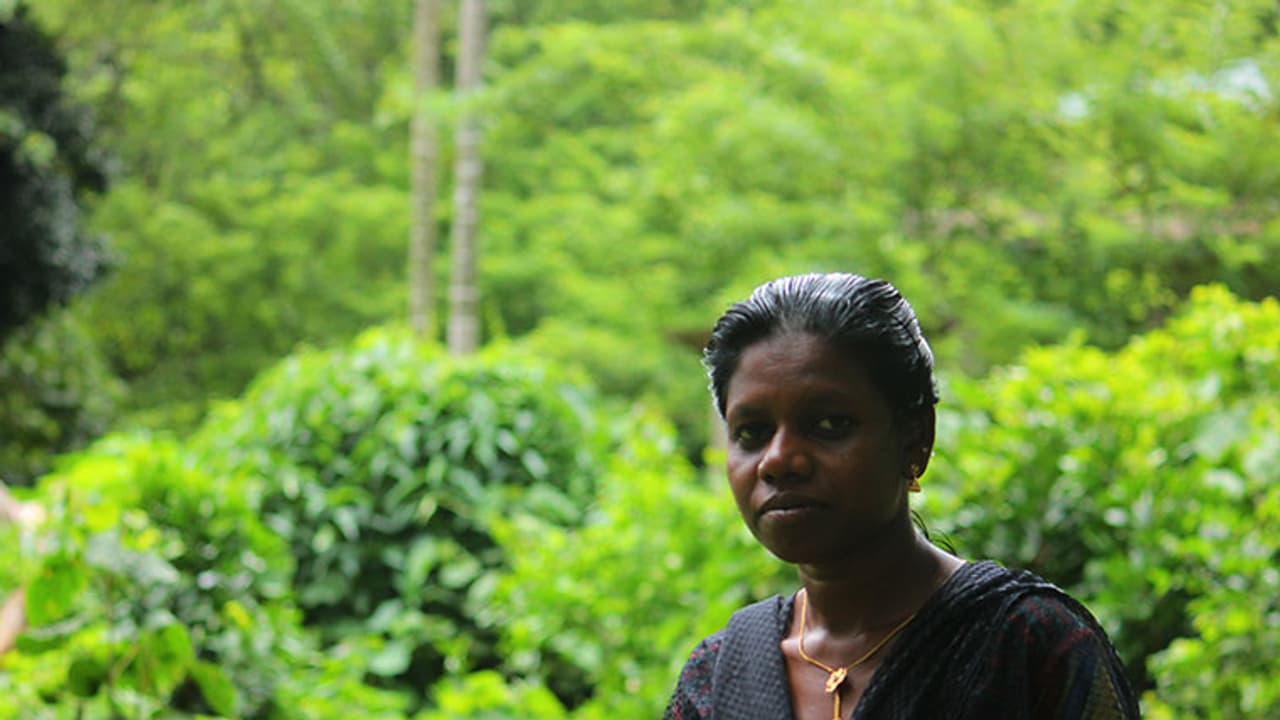 ഗീത വാഴച്ചാല്‍