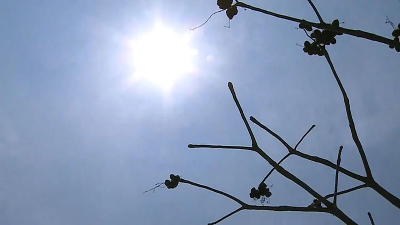 ഫെബ്രുവരി പകുതിയിൽ തന്നെ അസഹനീയ ചൂട്, അതീവ ജാഗ്രതാ മുന്നറിയിപ്പ്, 38 ഡിഗ്രി സെൽഷ്യസ് രേഖപ്പെടുത്തി പാലക്കാട് ഫെബ്രുവരി പകുതിയിൽ തന്നെ അസഹനീയ ചൂട്, അതീവ ജാഗ്രതാ മുന്നറിയിപ്പ്, 38 ഡിഗ്രി സെൽഷ്യസ് രേഖപ്പെടുത്തി പാലക്കാട്