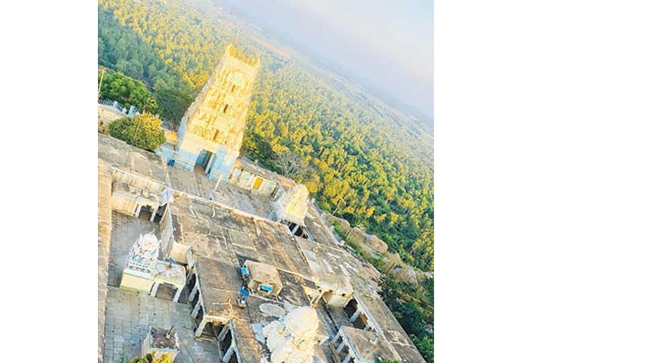 ವೀಕೆಂಡ್’ನಲ್ಲಿ ಎಲ್ಲಿಗೆ ಹೋಗೋದು ಎಂದು ಪ್ಲಾನ್ ಮಾಡ್ತಾ ಇದ್ದೀರಾ? ಹಸಿರನ್ನೇ ಹೊದ್ದು ನಿಂತಿರುವ ಇಲ್ಲಿಗೆ ಹೋಗಿ ಬನ್ನಿ ವೀಕೆಂಡ್’ನಲ್ಲಿ ಎಲ್ಲಿಗೆ ಹೋಗೋದು ಎಂದು ಪ್ಲಾನ್ ಮಾಡ್ತಾ ಇದ್ದೀರಾ? ಹಸಿರನ್ನೇ ಹೊದ್ದು ನಿಂತಿರುವ ಇಲ್ಲಿಗೆ ಹೋಗಿ ಬನ್ನಿ