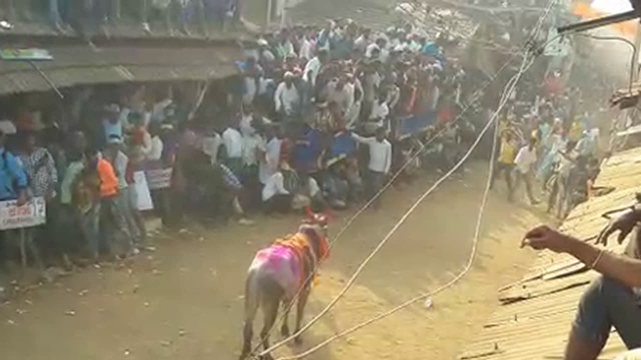 ಹೋರಿ ಬೆದರಿಸುವ ಸ್ಪರ್ಧೆಯಲ್ಲಿ ಮೃತಪಟ್ಟ ಯುವಕ ಹೋರಿ ಬೆದರಿಸುವ ಸ್ಪರ್ಧೆಯಲ್ಲಿ ಮೃತಪಟ್ಟ ಯುವಕ