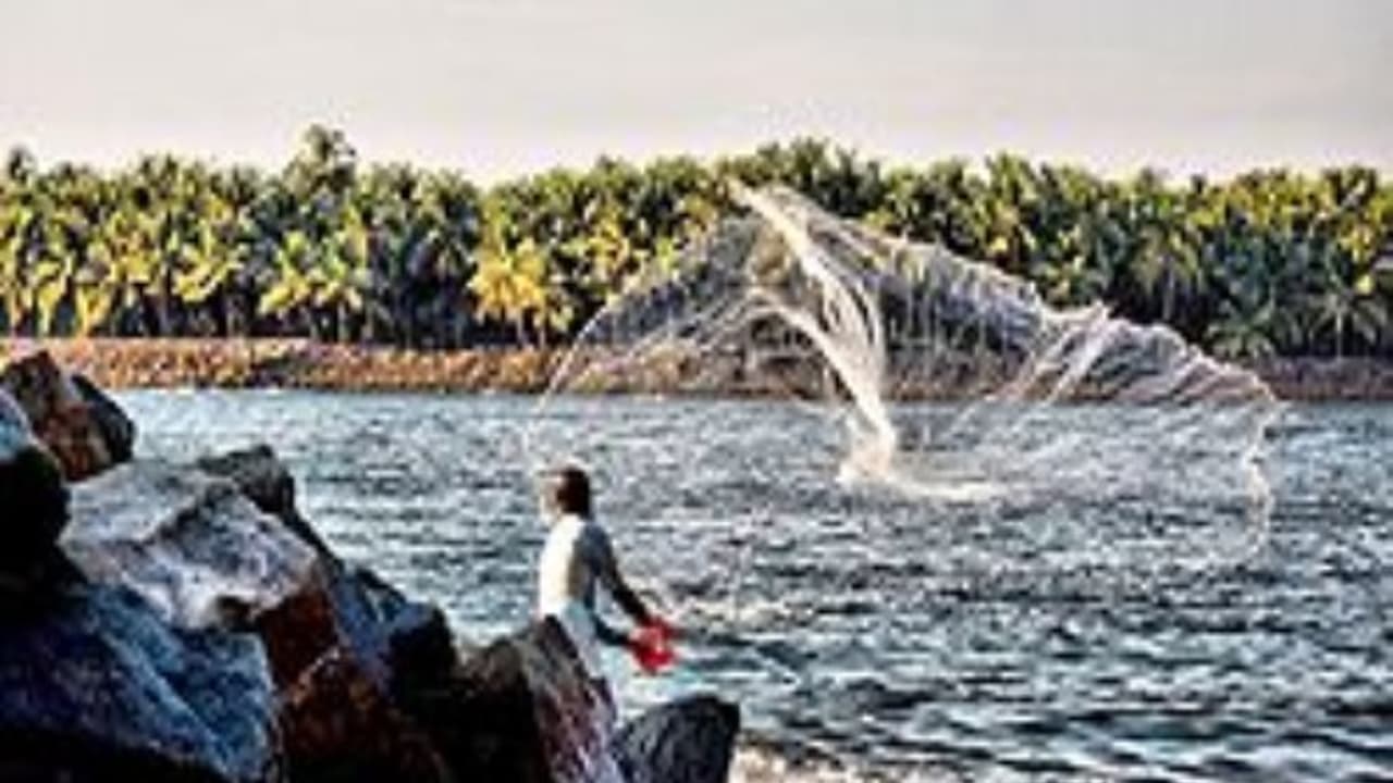 மீன் வளர்ப்பில் ஈடுபடுவோர் கேட்கும் இந்த கேள்விகளுக்கு இதோ பதில்கள்... மீன் வளர்ப்பில் ஈடுபடுவோர் கேட்கும் இந்த கேள்விகளுக்கு இதோ பதில்கள்...