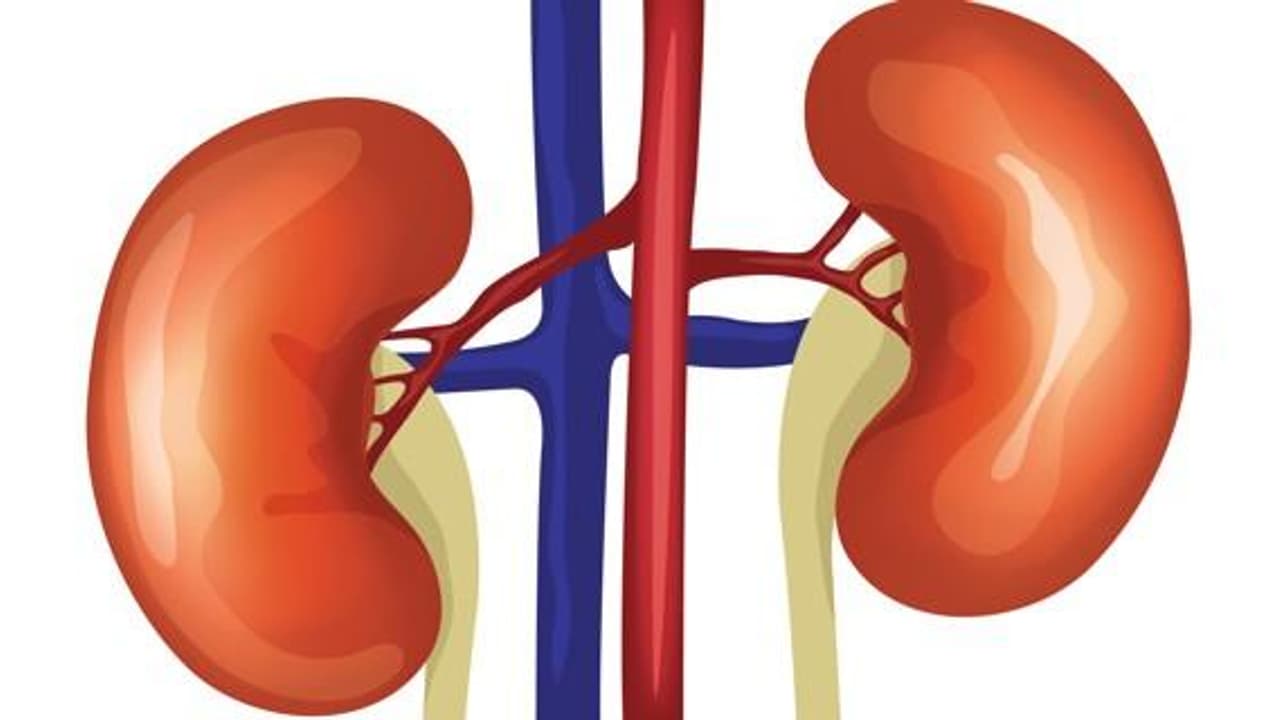 Kidney Disease: ক্রমে বাড়ছে কিডনির রোগ, নিজের ভুলেই এই রোগ ডেকে আনছেন না তো Kidney Disease: ক্রমে বাড়ছে কিডনির রোগ, নিজের ভুলেই এই রোগ ডেকে আনছেন না তো