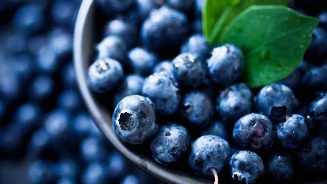 Abu Dhabi expands exportation of home grown blueberries to India, Japan, Thailand Abu Dhabi expands exportation of home grown blueberries to India, Japan, Thailand
