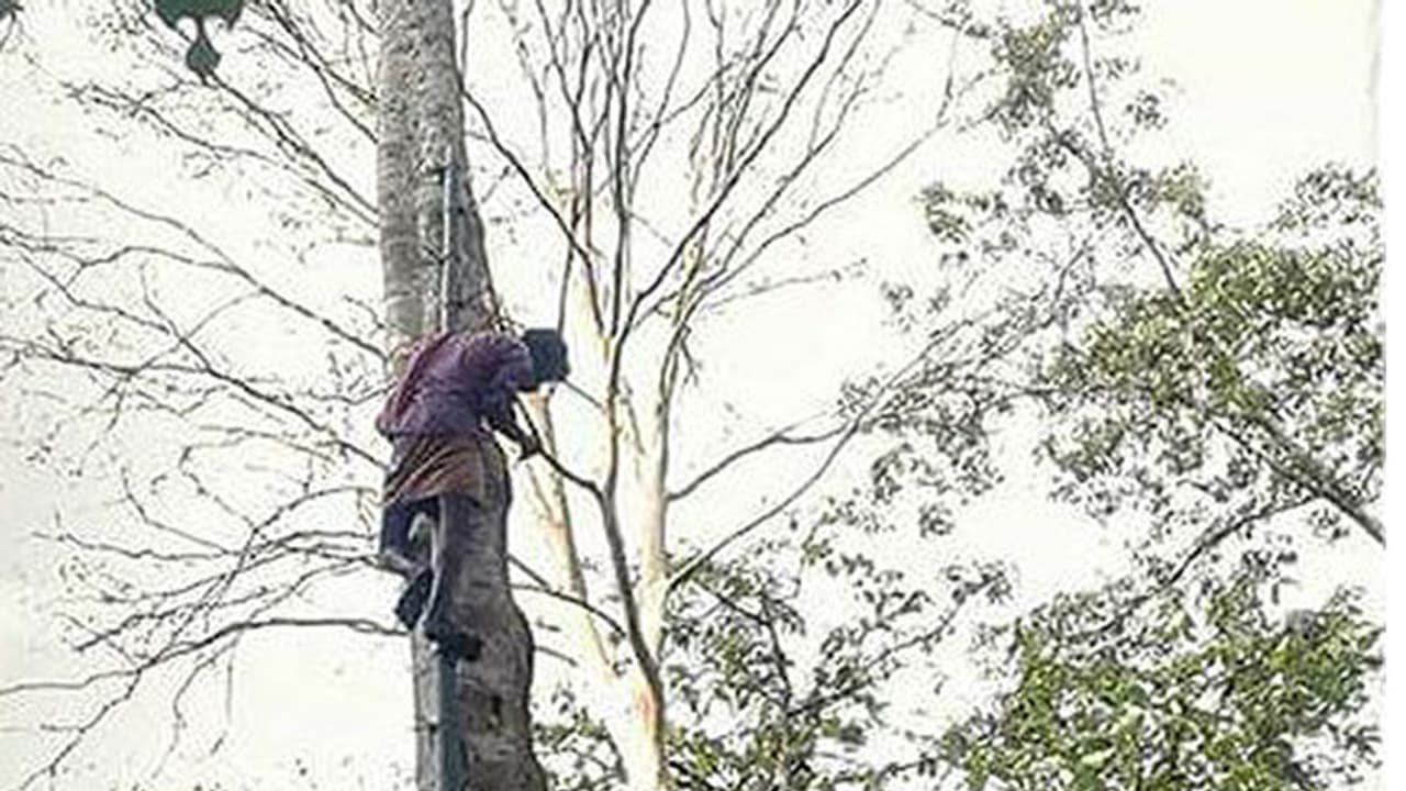 സഹജീവിതം; വേഴാമ്പലിന് ഭക്ഷണമെത്തിച്ച് ഒരു മനുഷ്യന് സഹജീവിതം; വേഴാമ്പലിന് ഭക്ഷണമെത്തിച്ച് ഒരു മനുഷ്യന്