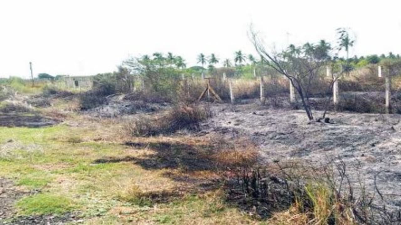 ஓ.என்.ஜி.சி. நிறுவனத்துக்குச் சொந்தமான எரிவாயு கிணற்றின் அருகே தீ விபத்து; மக்கள் அச்சம்… ஓ.என்.ஜி.சி. நிறுவனத்துக்குச் சொந்தமான எரிவாயு கிணற்றின் அருகே தீ விபத்து; மக்கள் அச்சம்…