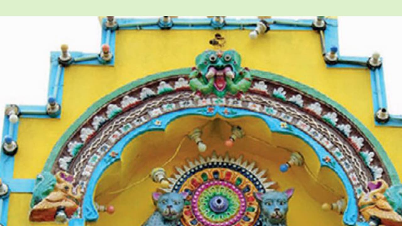 ഇവിടെ പൂച്ചയാണ് ദൈവം; ഉപദ്രവിച്ചാല്‍ കടുത്ത ശിക്ഷ