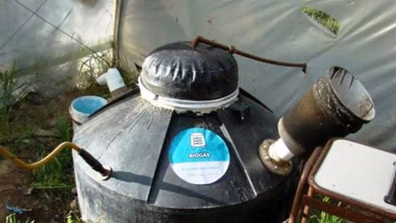 கோபர் கேஸ் என்னும் சாண எரிவாயு பண்புகள் முதல் தயாரிப்பு வரை ஒரு அலசல்... கோபர் கேஸ் என்னும் சாண எரிவாயு பண்புகள் முதல் தயாரிப்பு வரை ஒரு அலசல்...