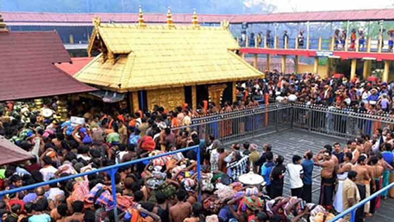 ಲಕ್ಷ ರೂ.ಮೌಲ್ಯದ ಬಾಳೆಗಿಡ ಕದ್ದೊಯ್ದ ನಕಲಿ ಅಯ್ಯಪ್ಪಸ್ವಾಮಿ ಮಾಲಾಧಾರಿಗಳು! ಲಕ್ಷ ರೂ.ಮೌಲ್ಯದ ಬಾಳೆಗಿಡ ಕದ್ದೊಯ್ದ ನಕಲಿ ಅಯ್ಯಪ್ಪಸ್ವಾಮಿ ಮಾಲಾಧಾರಿಗಳು!