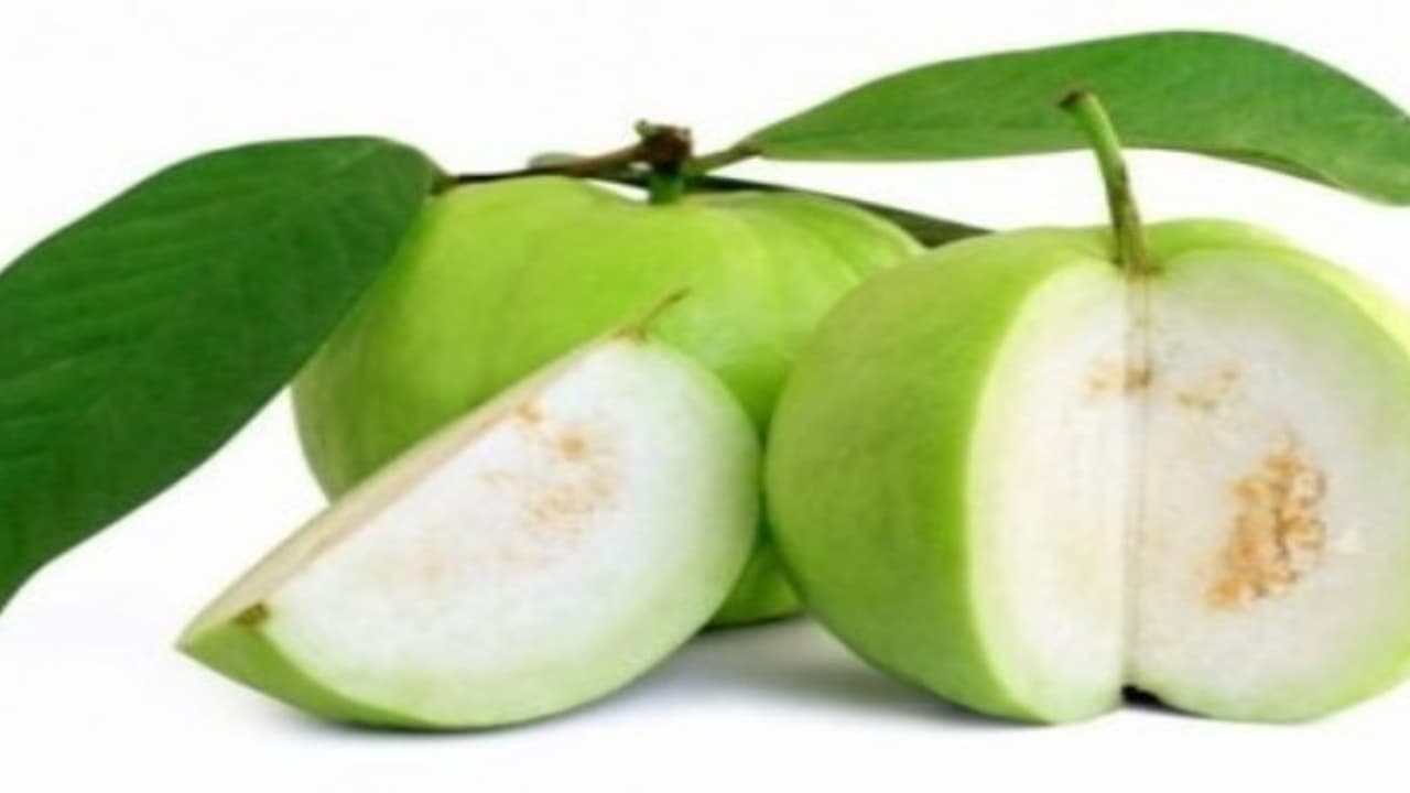 கொய்யாப்பழம்: விலையோ மலிவு; ஏற்படுத்தும் விளைவோ அதிகம்…. கொய்யாப்பழம்: விலையோ மலிவு; ஏற்படுத்தும் விளைவோ அதிகம்….