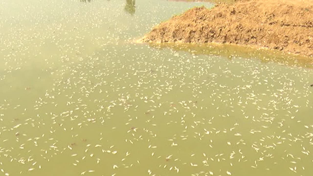 ಬೆಂಗಳೂರು ಸಾವಿನ ನೀರು ಬೆಂಗಳೂರು ಸಾವಿನ ನೀರು