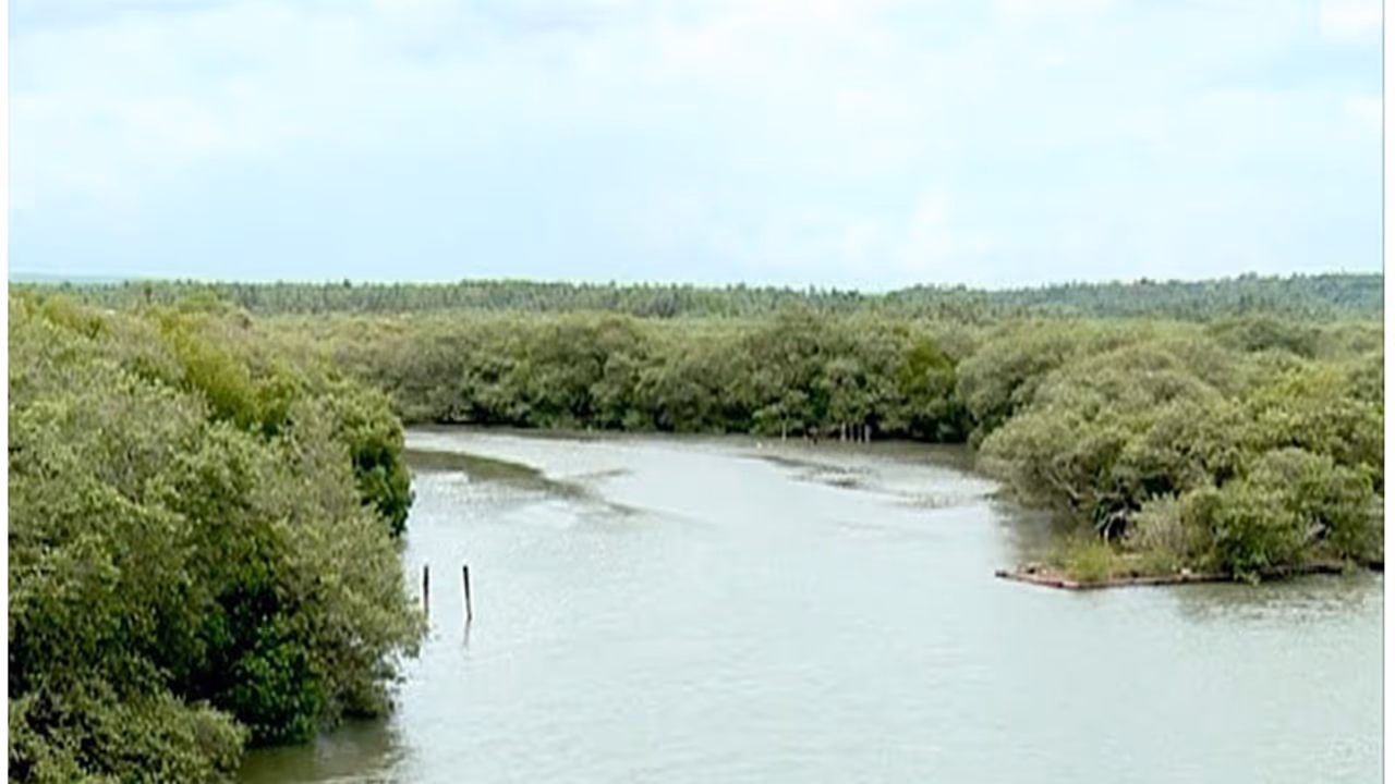 After bluffing on Ali, Kerala Minister kicks up another row After bluffing on Ali, Kerala Minister kicks up another row