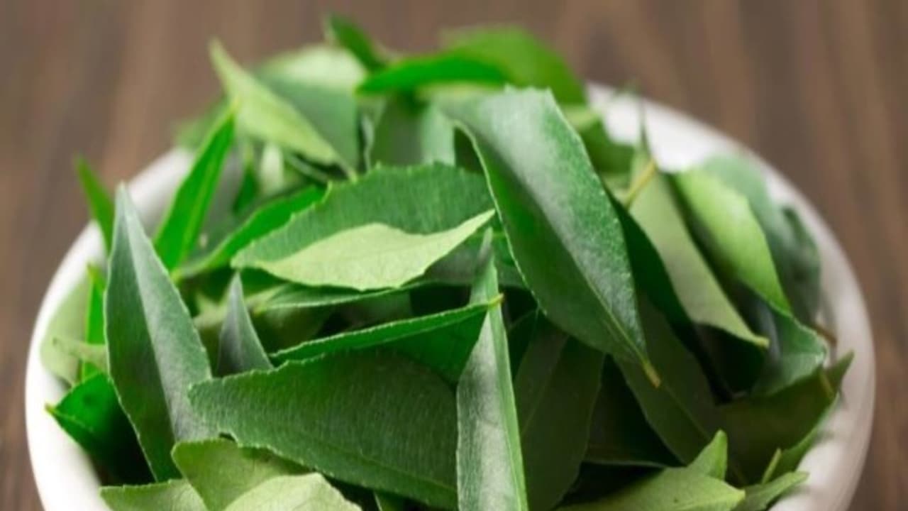 தலைமுடியின் வளர்ச்சியை அதிகரிக்க கறிவேப்பிலை இப்படி சாப்பிட்டு பாருங்களேன்...