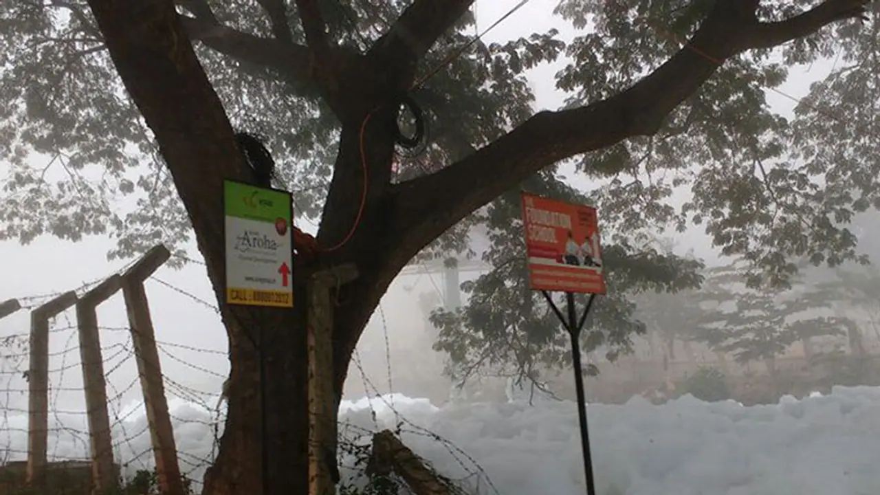 United Bengaluru: Citizens groups launch new campaign to save lakes United Bengaluru: Citizens groups launch new campaign to save lakes