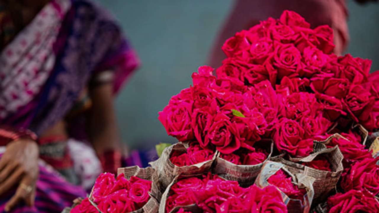 ವ್ಯಾಲಂಟೈನ್ಸ್ ಡೇಗೆ ಕೇಂದ್ರ ಸರ್ಕಾರದಿಂದ ರಜೆ ಘೋಷಣೆ? ವ್ಯಾಲಂಟೈನ್ಸ್ ಡೇಗೆ ಕೇಂದ್ರ ಸರ್ಕಾರದಿಂದ ರಜೆ ಘೋಷಣೆ?