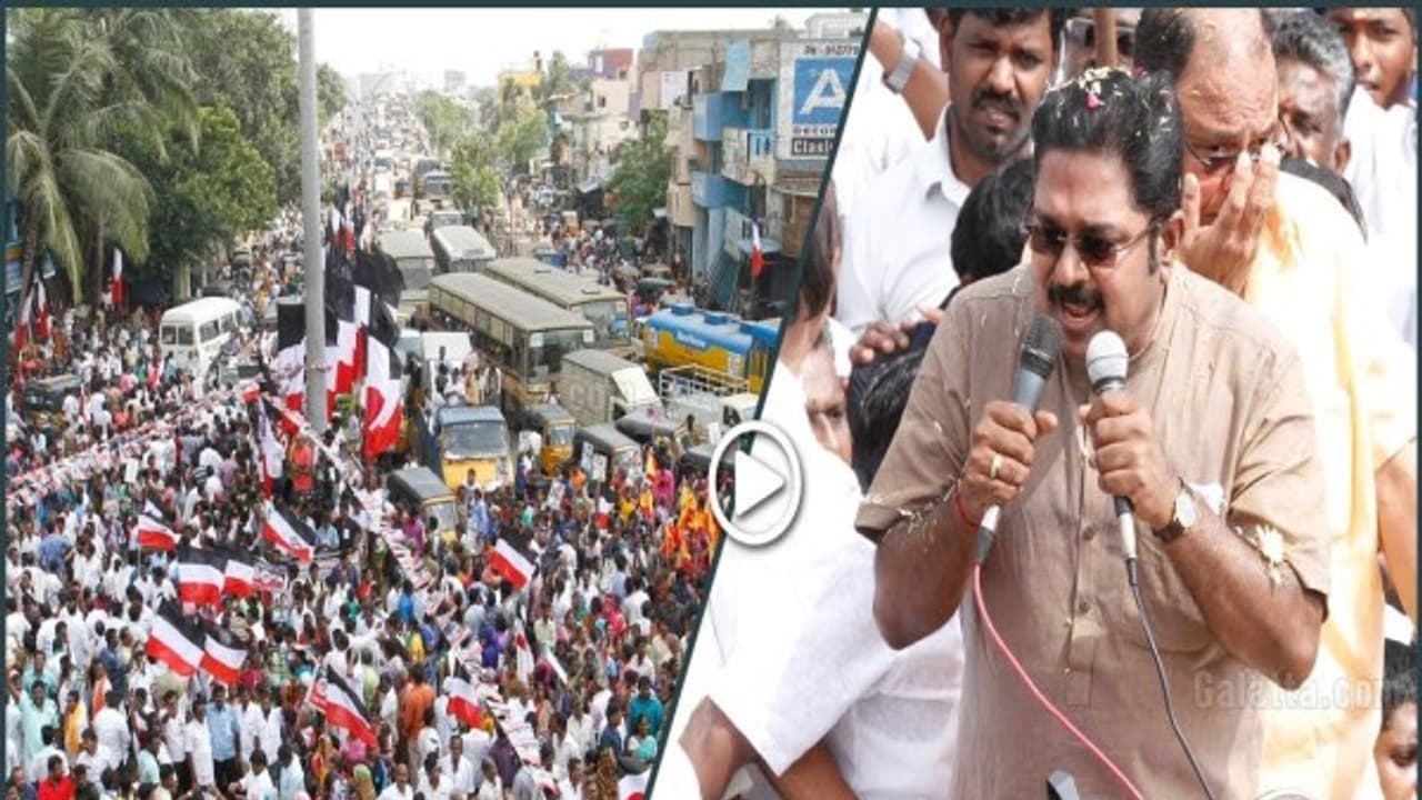 தினகரனை தூக்கிப் பிடித்த கருத்துக்கணிப்பு! பழனி பன்னீரை உதற தயாராகும் எம்.பி.க்கள்: டெல்லியில் நடக்கும் கில்லி மூவ்கள். தினகரனை தூக்கிப் பிடித்த கருத்துக்கணிப்பு! பழனி பன்னீரை உதற தயாராகும் எம்.பி.க்கள்: டெல்லியில் நடக்கும் கில்லி மூவ்கள்.