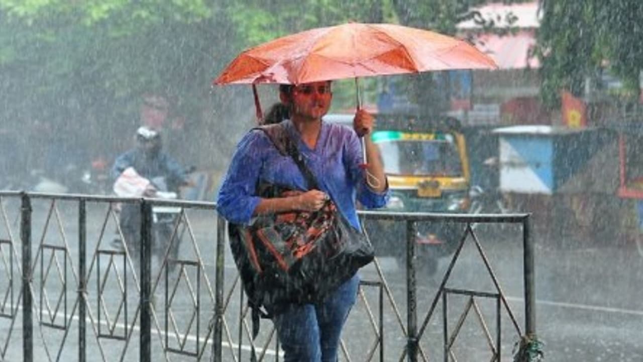 ചക്രവാതച്ചുഴി; കേരളത്തിൽ ഇന്നും ശക്തമായ മഴ, ആറ് ജില്ലകളിൽ യെല്ലോ അലർട്ട് ചക്രവാതച്ചുഴി; കേരളത്തിൽ ഇന്നും ശക്തമായ മഴ, ആറ് ജില്ലകളിൽ യെല്ലോ അലർട്ട്