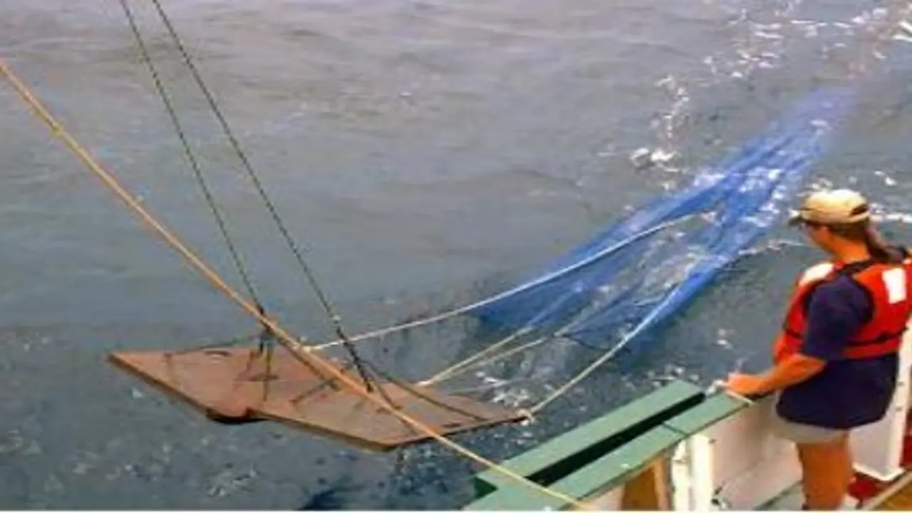 விதவிதமான மீன் வலைகளைப் பற்றி தெரிந்துக் கொள்ள இதை வாசிங்க.. விதவிதமான மீன் வலைகளைப் பற்றி தெரிந்துக் கொள்ள இதை வாசிங்க..