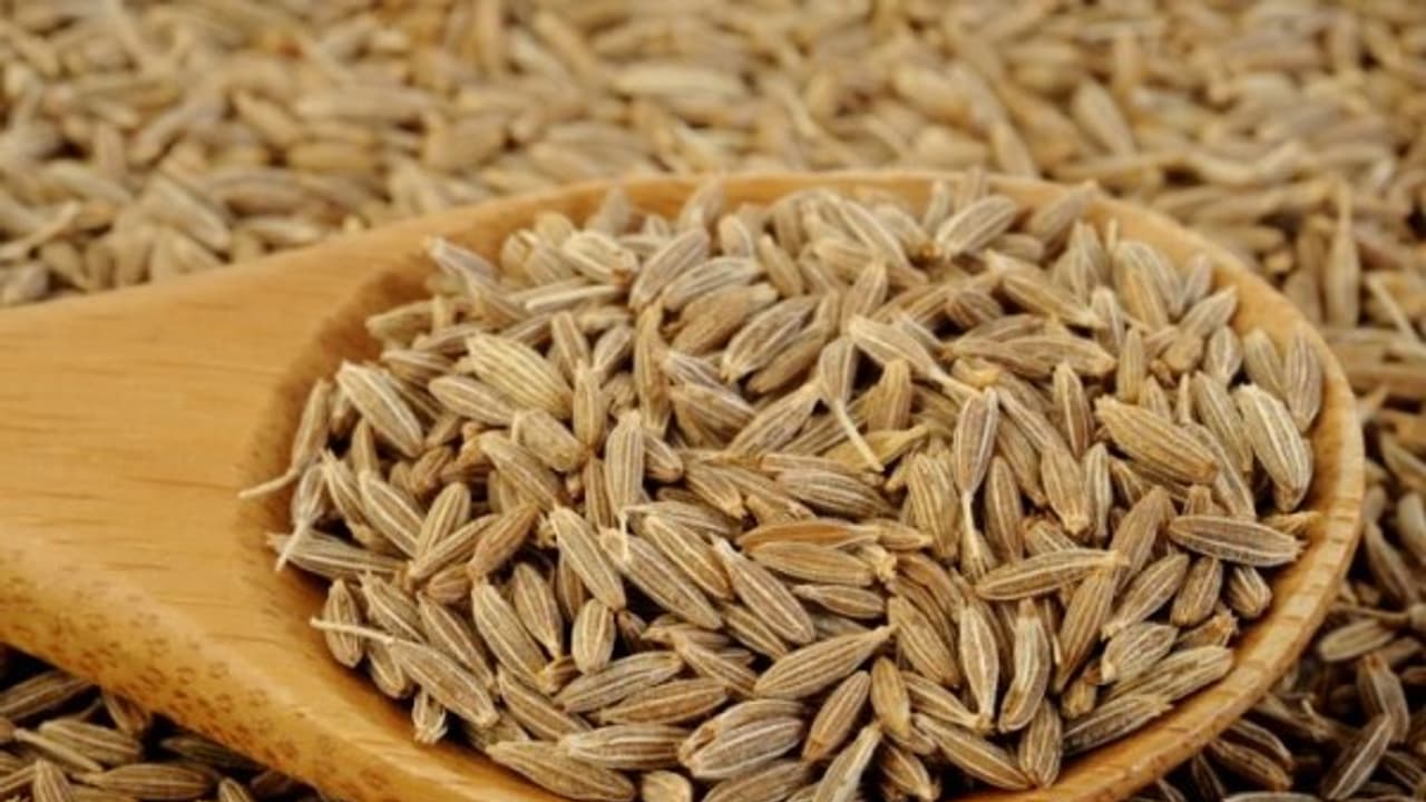 உங்களுக்கு தெரியுமா? சீரகம் சக்தி வாய்ந்த ஆன்டி ஆக்ஸிடென்ட் கொண்டுள்ளது...