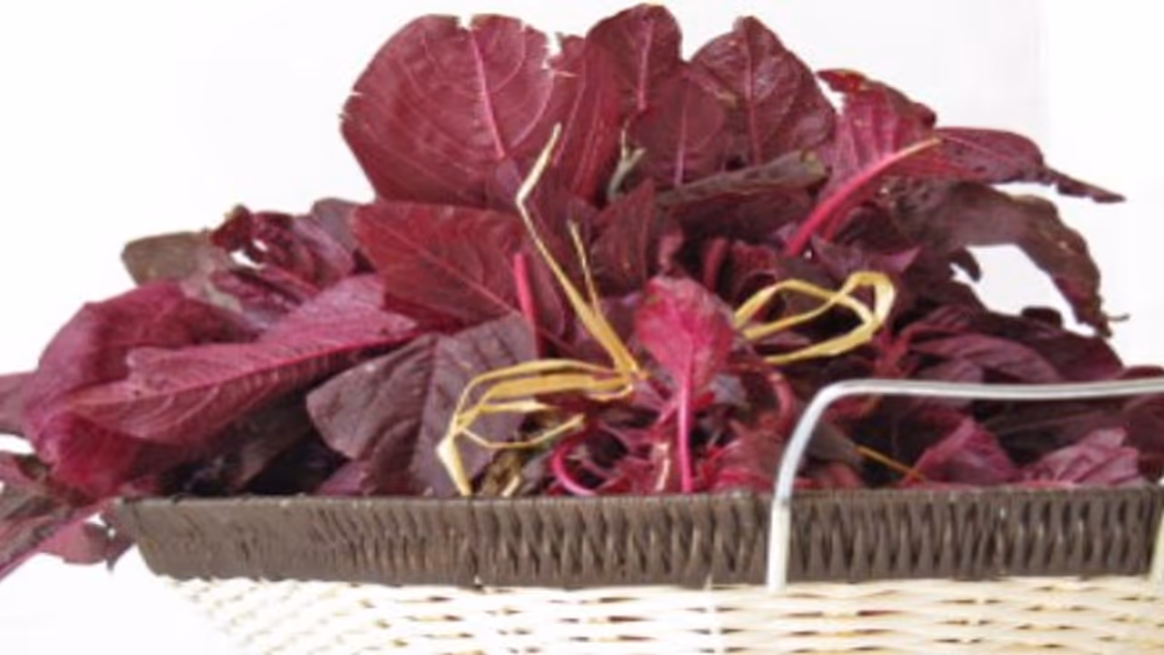 சிவப்புக் கீரையில் இவ்வளவு ஊட்டச்சத்துகள் இருப்பதால் தினமும் சாப்பிடலாம். ஆனால்… சிவப்புக் கீரையில் இவ்வளவு ஊட்டச்சத்துகள் இருப்பதால் தினமும் சாப்பிடலாம். ஆனால்…