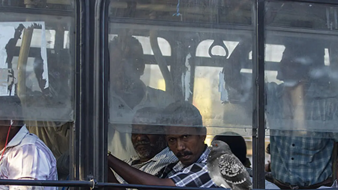 Tamil Nadu bus conductor asked to issue ticket to a pigeon Tamil Nadu bus conductor asked to issue ticket to a pigeon