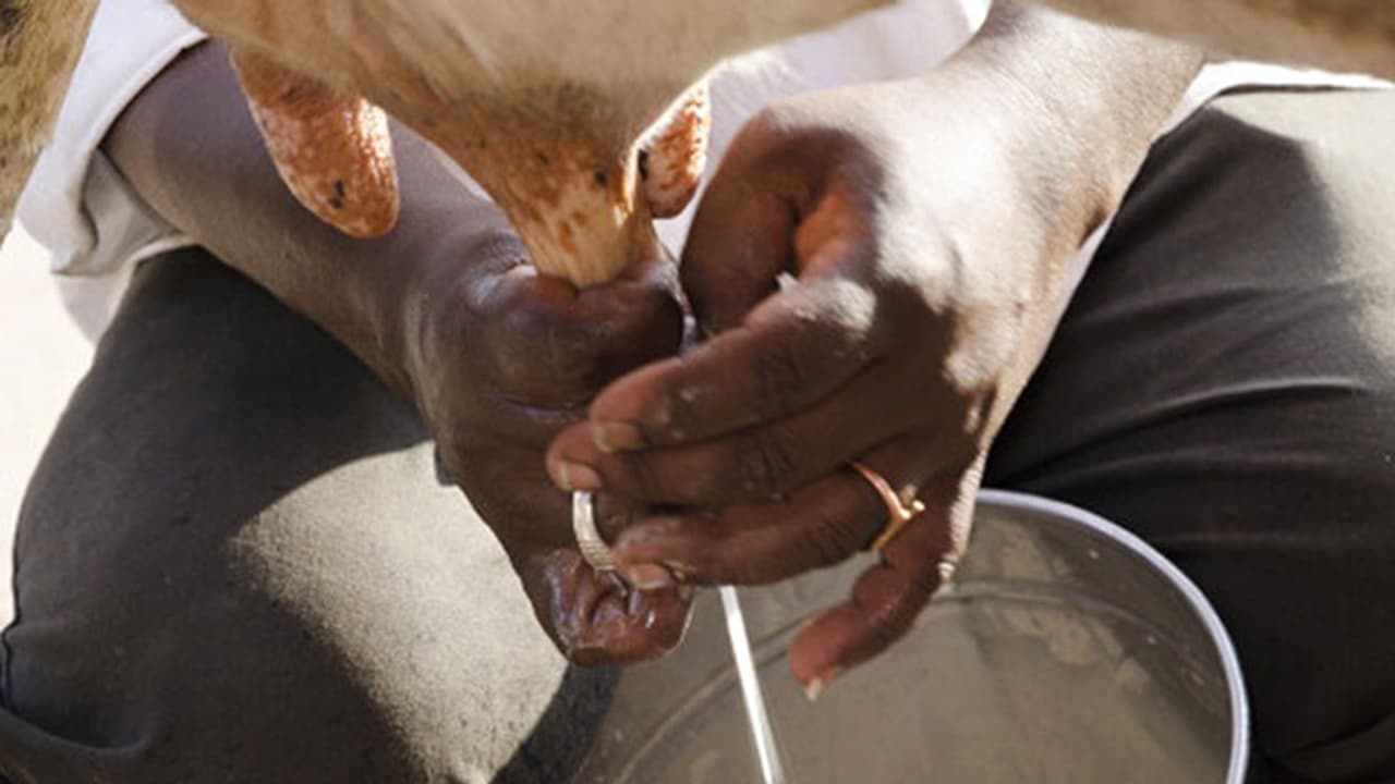 Tamil Nadu: Milk federation demands minister’s resignation after he fails to prove milk adulteration