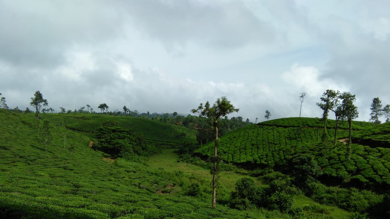 വയനാട്ടില് ടൂറിസം മേഖലയില് തകര്ച്ച; സാമ്പത്തികമേഖല പ്രതിസന്ധിയില് വയനാട്ടില് ടൂറിസം മേഖലയില് തകര്ച്ച; സാമ്പത്തികമേഖല പ്രതിസന്ധിയില്