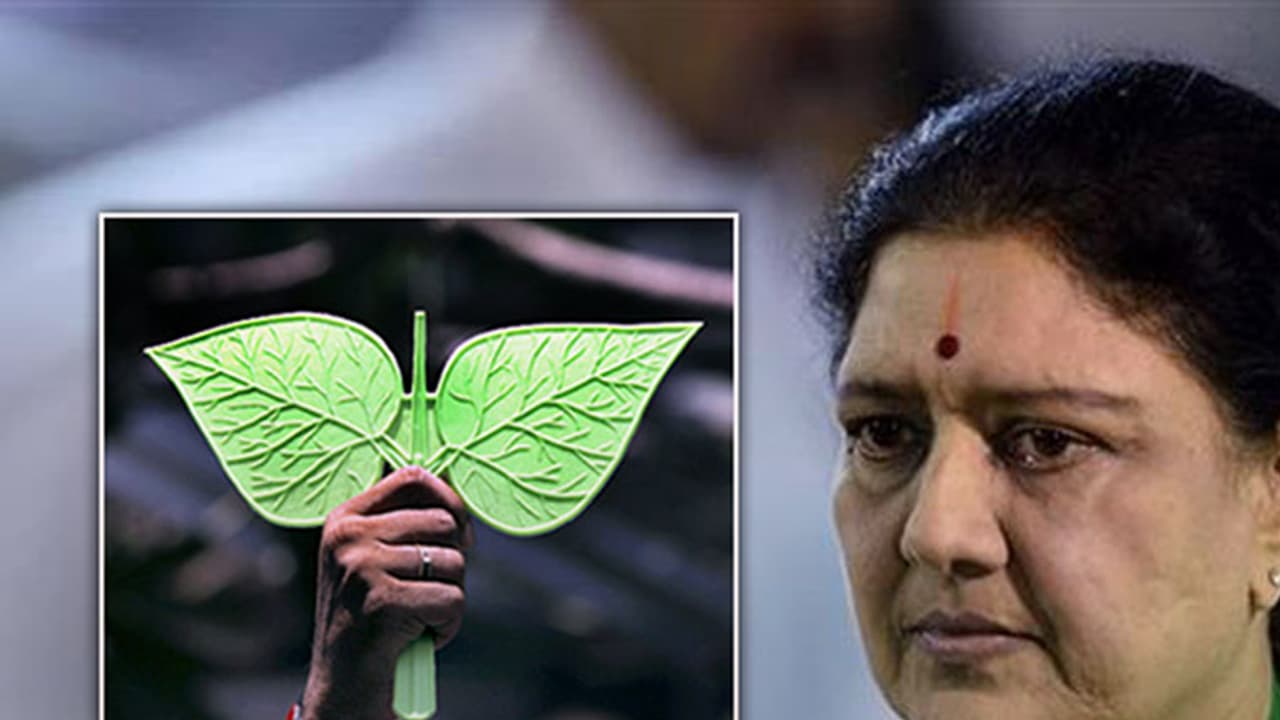 Sasikala’s group not willing to let go of AIADMK two leaf symbol, EC demands explanation Sasikala’s group not willing to let go of AIADMK two leaf symbol, EC demands explanation