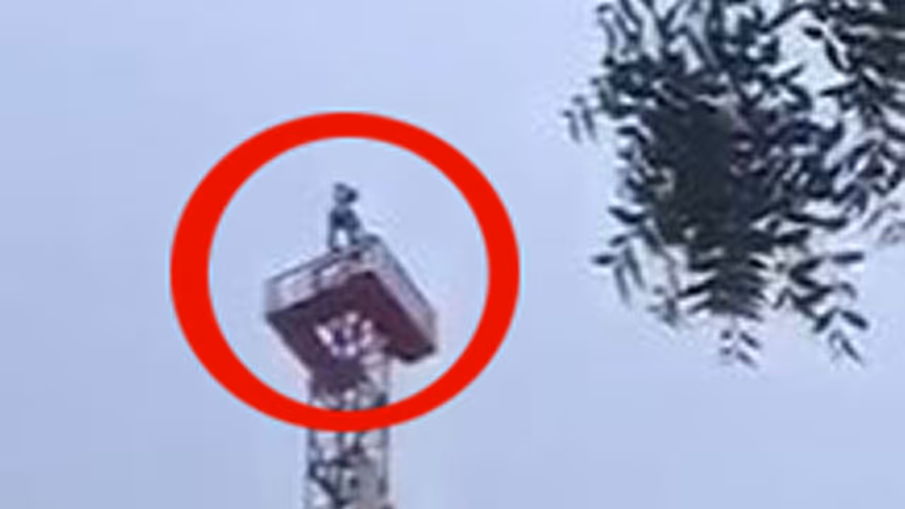 పెళ్లి కావాలంటూ సెల్ టవర్ ఎక్కిన యువకుడు.. ఎమ్మెల్యే హామీతో..