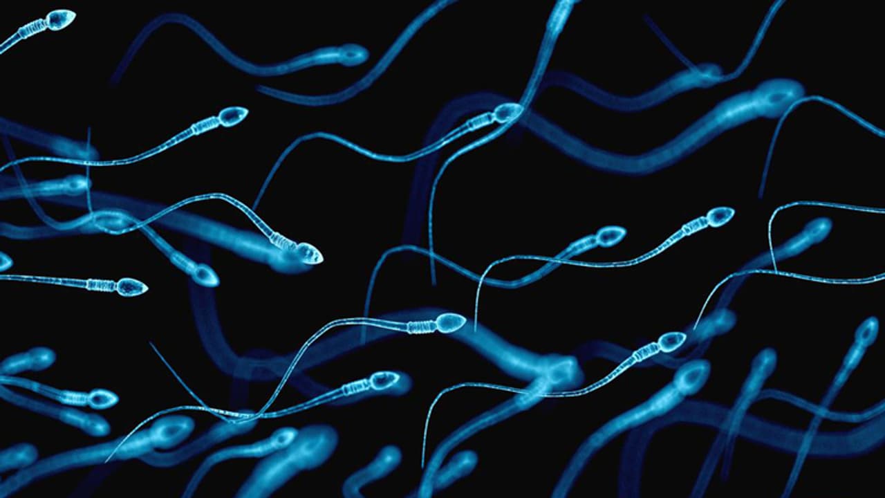 ബീജം നല്‍കണമെങ്കില്‍ കട്ട കമ്യൂണിസ്റ്റാകണം; വിചിത്ര നിയമവുമായി ഒരു ആശുപത്രി