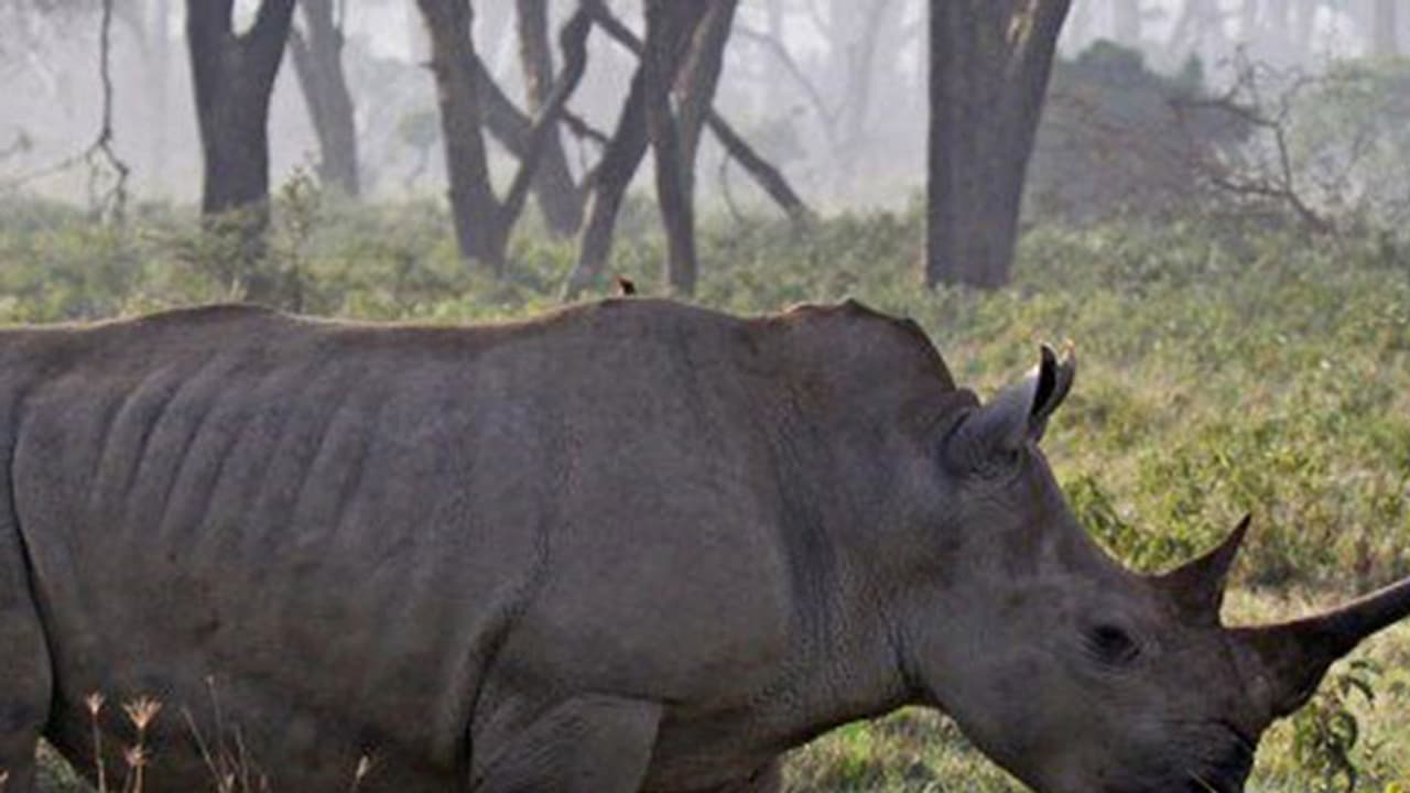 സഞ്ചാരികള്ക്ക് മാത്രം സാദ്ധ്യമാവുന്ന ചില നന്മകളുണ്ട്! സഞ്ചാരികള്ക്ക് മാത്രം സാദ്ധ്യമാവുന്ന ചില നന്മകളുണ്ട്!