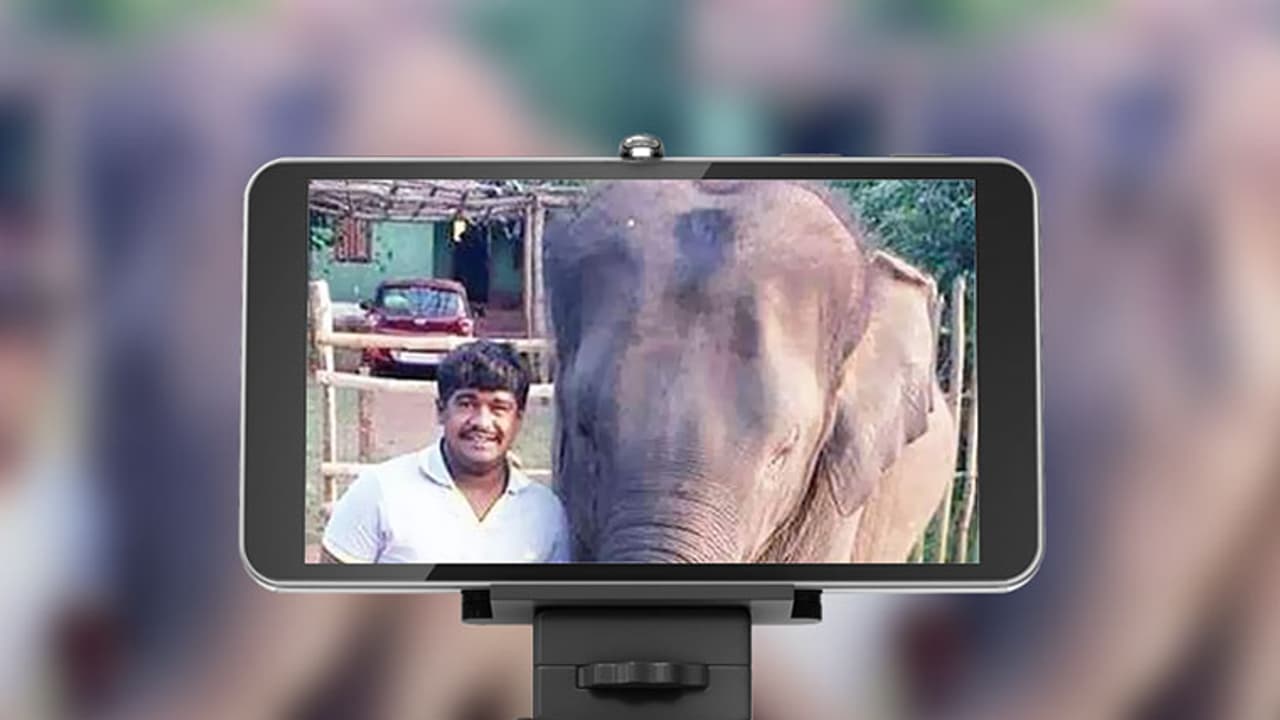 Elephant kills youth as he tries to take selfie at Bannerghatta zoo [Photo]
