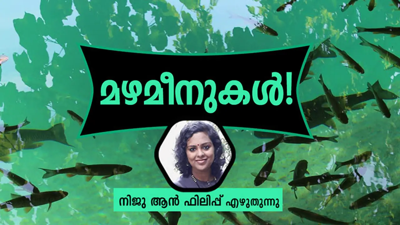 മീന്രുചിയുള്ള മഴക്കാലങ്ങള് മീന്രുചിയുള്ള മഴക്കാലങ്ങള്