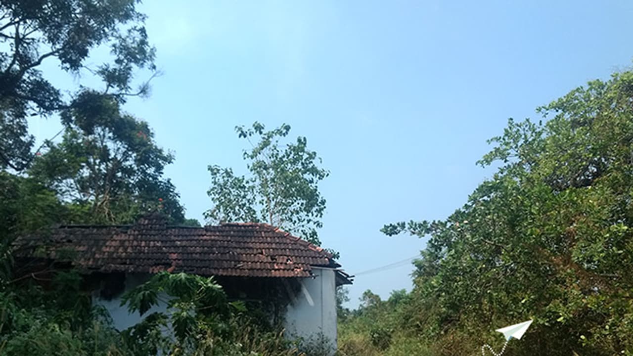 പണ്ടിവിടൊരു പുലയരാജാവുണ്ടായിരുന്നു