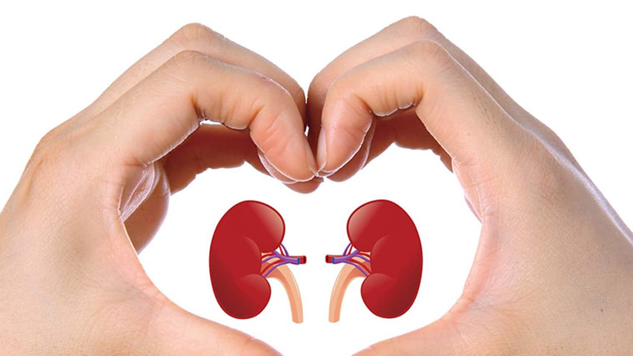 കുടുംബാംഗങ്ങൾക്കിടയിൽ വൃക്ക മാറ്റിവെക്കലിന് സൗകര്യമൊരുക്കുന്ന പ്രത്യേക പദ്ധതിക്ക് സൗദിയിൽ തുടക്കം കുടുംബാംഗങ്ങൾക്കിടയിൽ വൃക്ക മാറ്റിവെക്കലിന് സൗകര്യമൊരുക്കുന്ന പ്രത്യേക പദ്ധതിക്ക് സൗദിയിൽ തുടക്കം