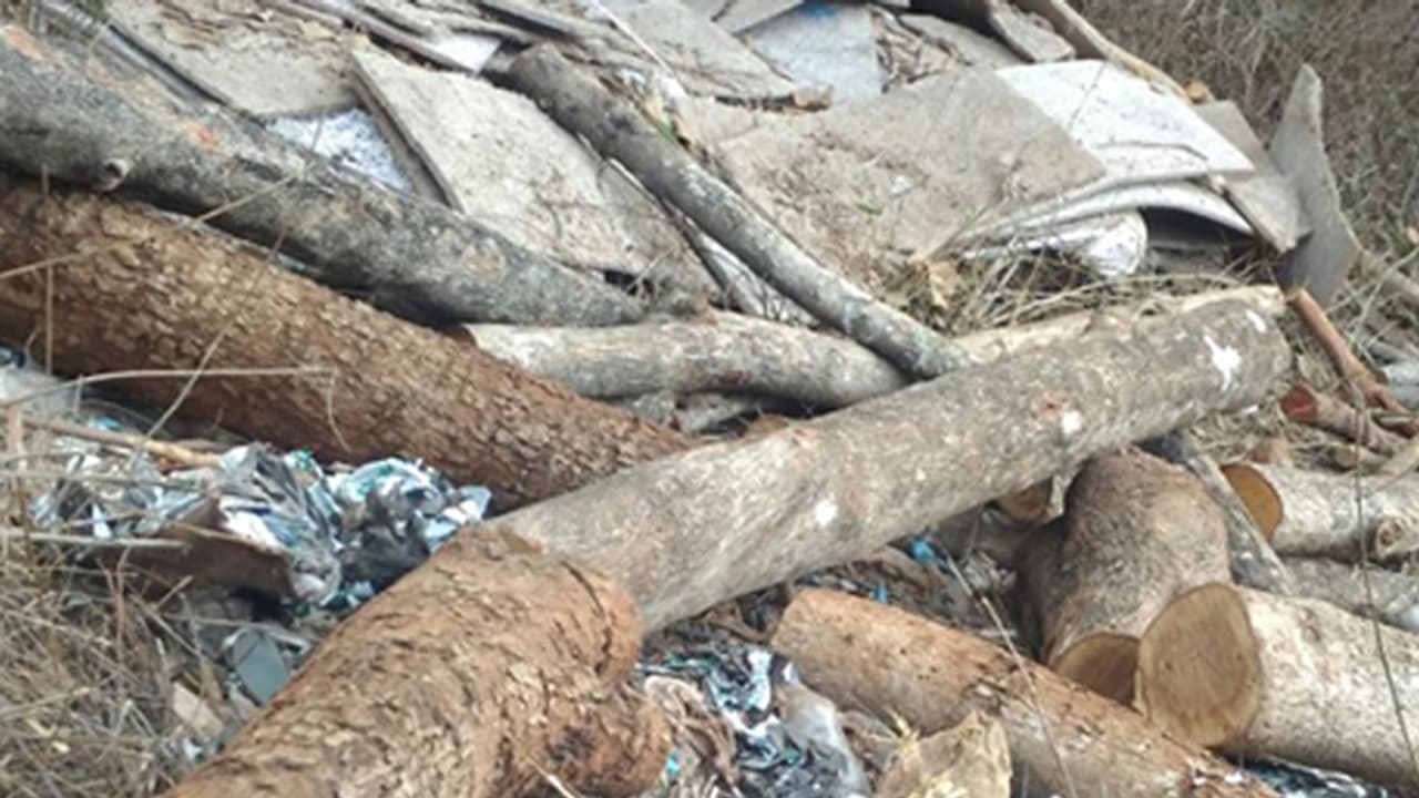 ಭದ್ರಾ ಜಲಾಶಯದ ಹಿನ್ನೀರಿನಲ್ಲಿ ಮರಗಳ್ಳರ ಪಾಲಾಗುತ್ತಿದೆ ಶ್ರೀ ಗಂಧ ಭದ್ರಾ ಜಲಾಶಯದ ಹಿನ್ನೀರಿನಲ್ಲಿ ಮರಗಳ್ಳರ ಪಾಲಾಗುತ್ತಿದೆ ಶ್ರೀ ಗಂಧ