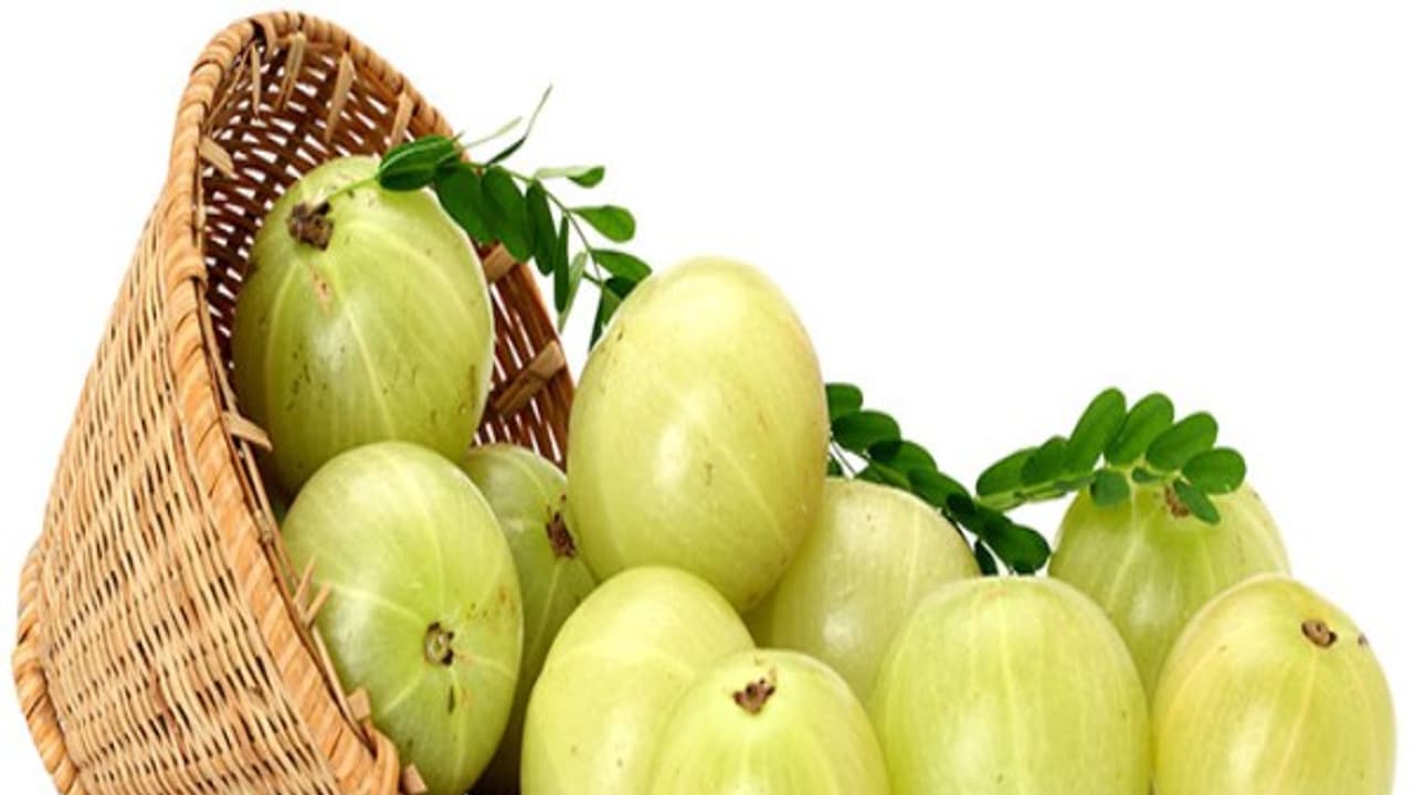 உங்களுக்குத் தெரியுமா? மூளைக் கோளாறுகளை போக்கும் சக்தி நெல்லிக்காய்க்கு உண்டு.... உங்களுக்குத் தெரியுமா? மூளைக் கோளாறுகளை போக்கும் சக்தி நெல்லிக்காய்க்கு உண்டு....