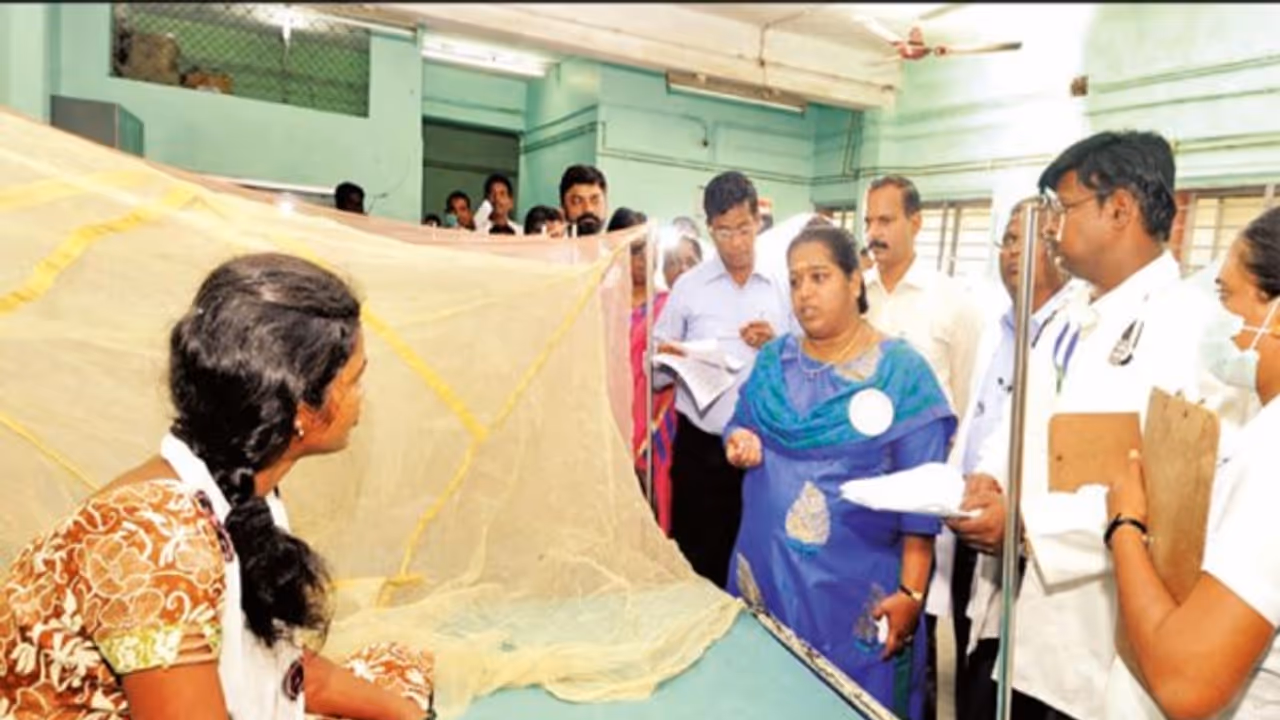 அரசு மருத்துவமனையில் அனுமதிக்கப்பட்டவர்களில் 10 பேருக்கு டெங்கு – ஆய்வுக்குப்பின் ஆட்சியர் அறிவிப்பு… அரசு மருத்துவமனையில் அனுமதிக்கப்பட்டவர்களில் 10 பேருக்கு டெங்கு – ஆய்வுக்குப்பின் ஆட்சியர் அறிவிப்பு…