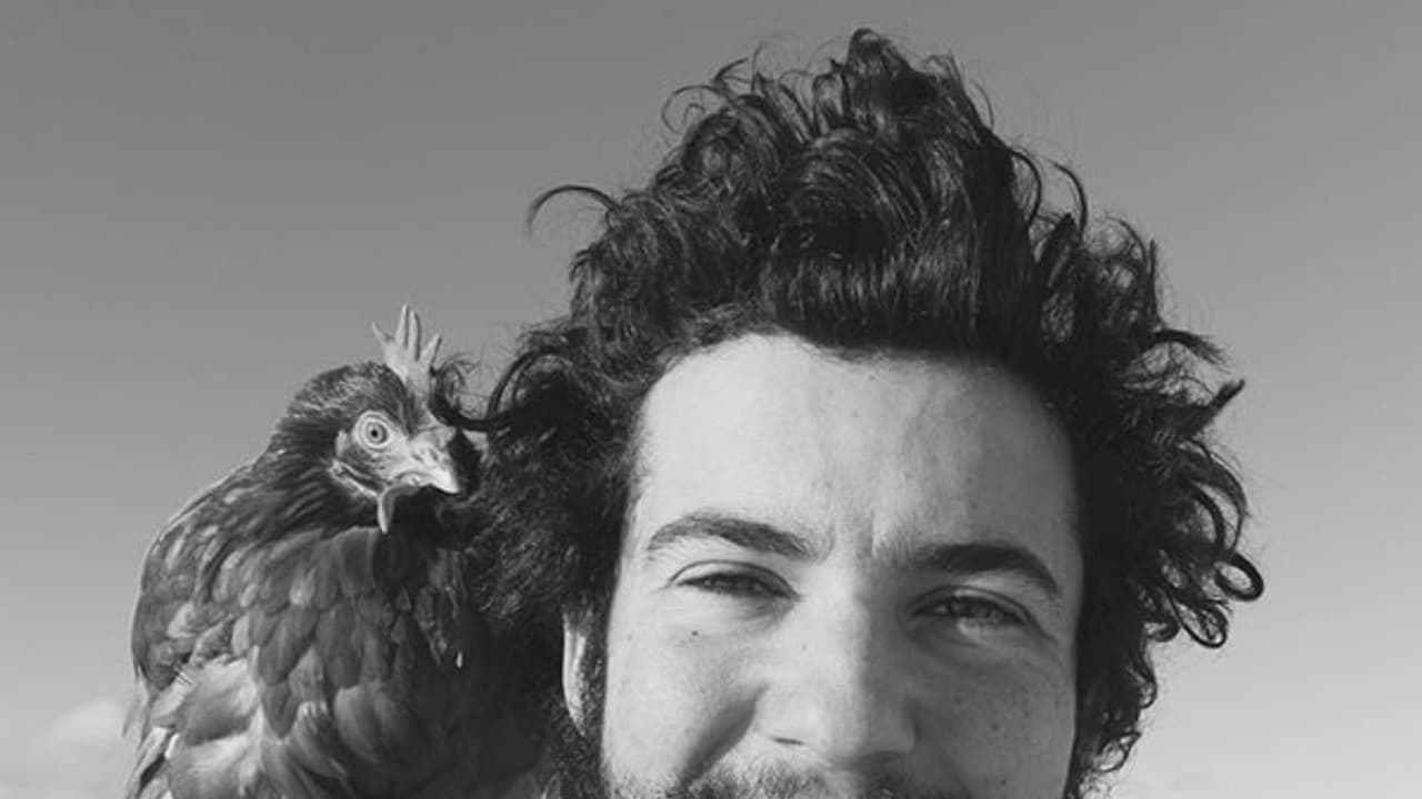 Adventurer hen and her human sail around the world Adventurer hen and her human sail around the world