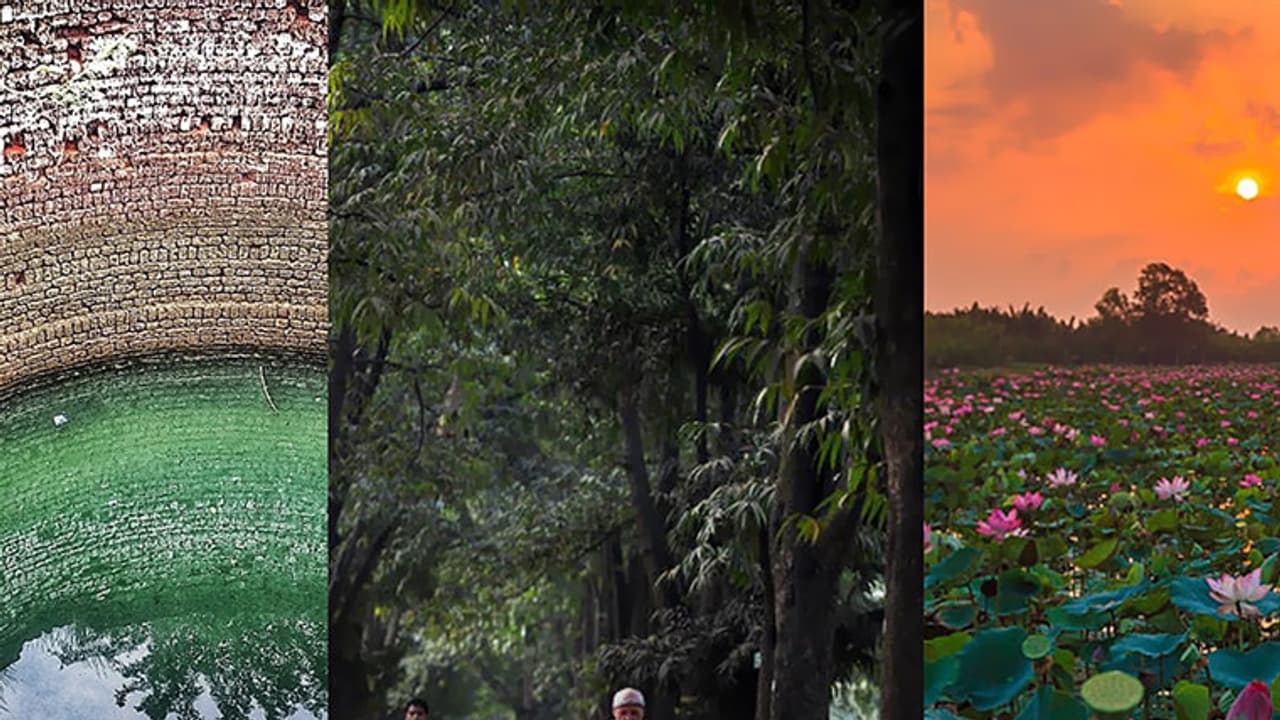 Bengaluru finally figures out a way to keep Cubbon Park 'evergreen' Bengaluru finally figures out a way to keep Cubbon Park 'evergreen'