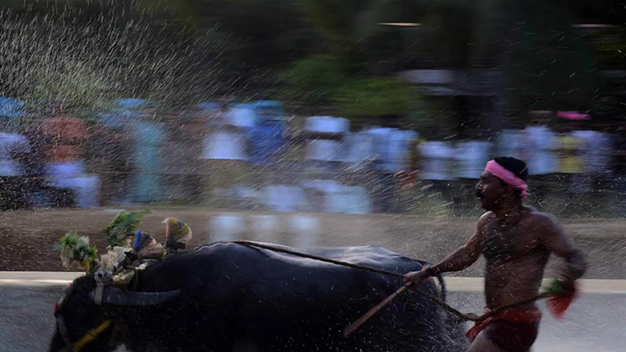 ಹೋರಿ ಬೆದರಿಸುವ ಸ್ಪರ್ಧೆಯಲ್ಲಿ ಯುವಕ ಸಾವು ಹೋರಿ ಬೆದರಿಸುವ ಸ್ಪರ್ಧೆಯಲ್ಲಿ ಯುವಕ ಸಾವು