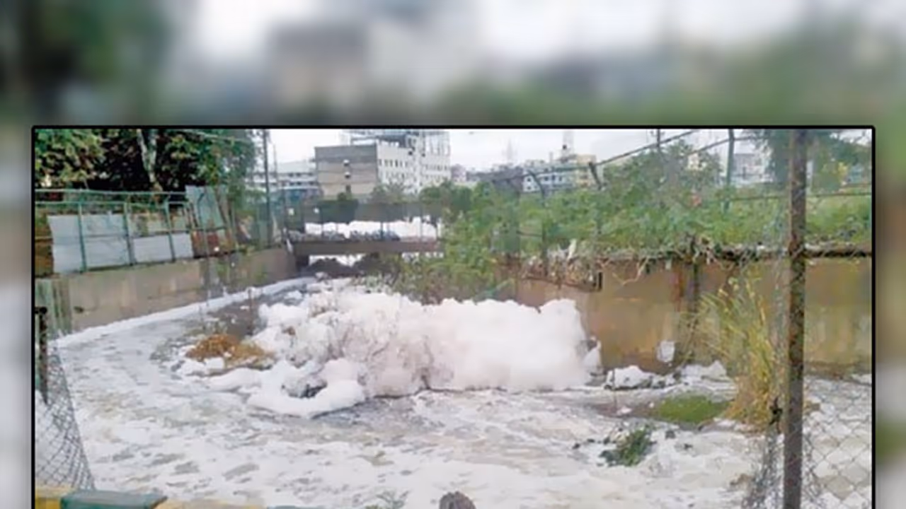 30 feet illegal pathway constructed on Kaggadasapura Lake 30 feet illegal pathway constructed on Kaggadasapura Lake