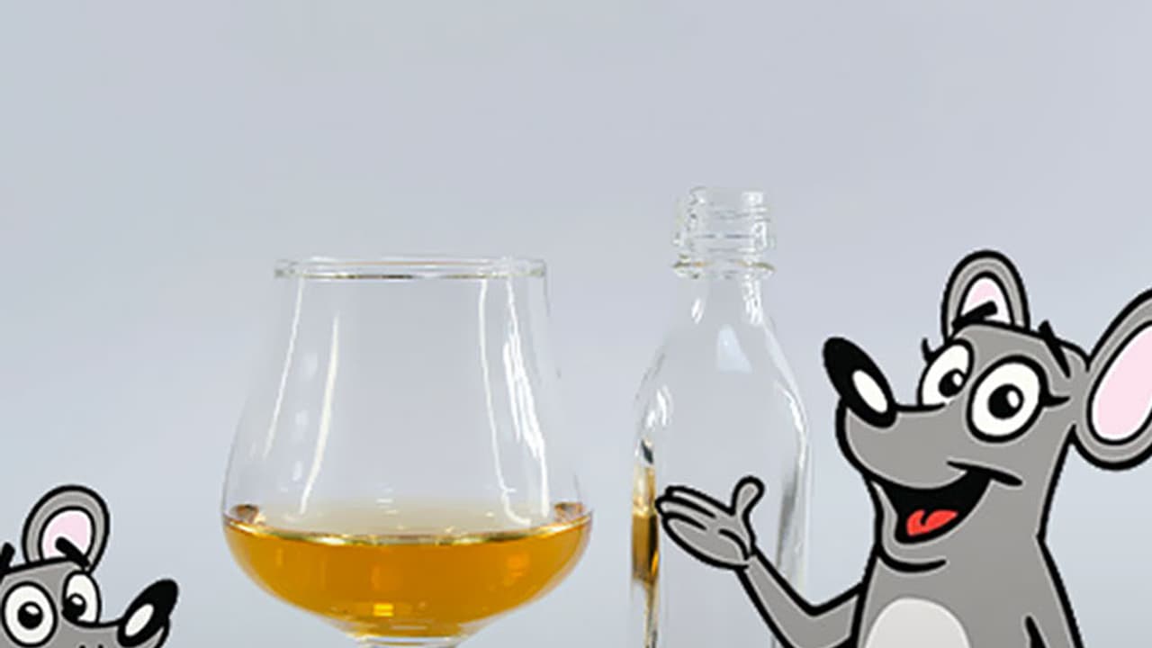 You won't believe what rats are capable of in Bihar! You won't believe what rats are capable of in Bihar!