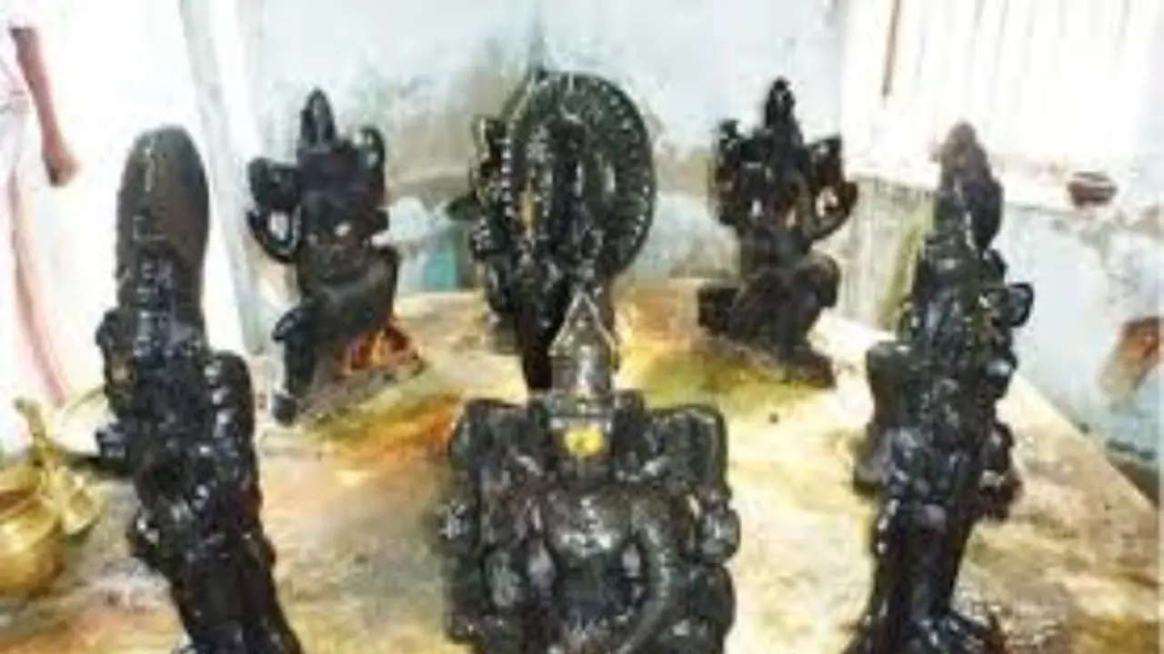 "நவகிரகம்" சுற்றும் போது யார் எத்தனை சுற்று சுற்ற வேண்டும் தெரியுமா ? "நவகிரகம்" சுற்றும் போது யார் எத்தனை சுற்று சுற்ற வேண்டும் தெரியுமா ?