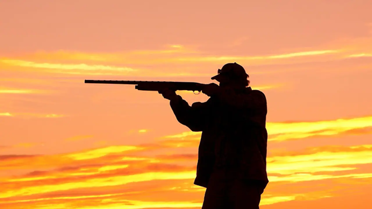 10 animal skins burned after being seized from poachers in Bengaluru